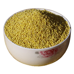 新米  东北大黄米/小时候吃的粘黄米/粘黄糯米/糯小米/500克