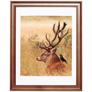 欧式实木相框挂墙16寸20 24 36 30 4K开8kA3装裱画框定制A4定做