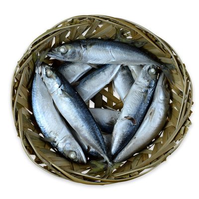 【混合鱼饭】德裕隆潮汕鱼饭非遗老字号传统巴浪鱼饭海鲜海鱼即食