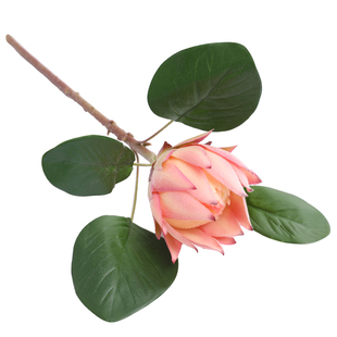 泰环 新款高档植毛帝王花仿真花非洲国花 客厅酒店样板间插花摆件