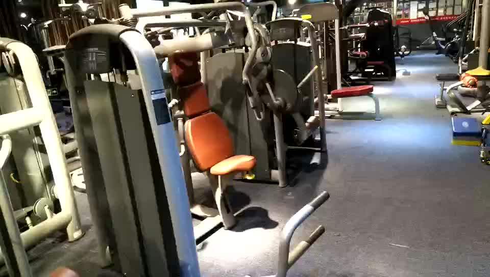 Fitness Equipment Sale Pull Back Extension Machine Gym Bodybuilding