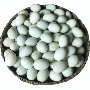 可付鸭土鸭蛋新鲜 受精孵化 绿皮放养青壳大别山农田野外散养30枚