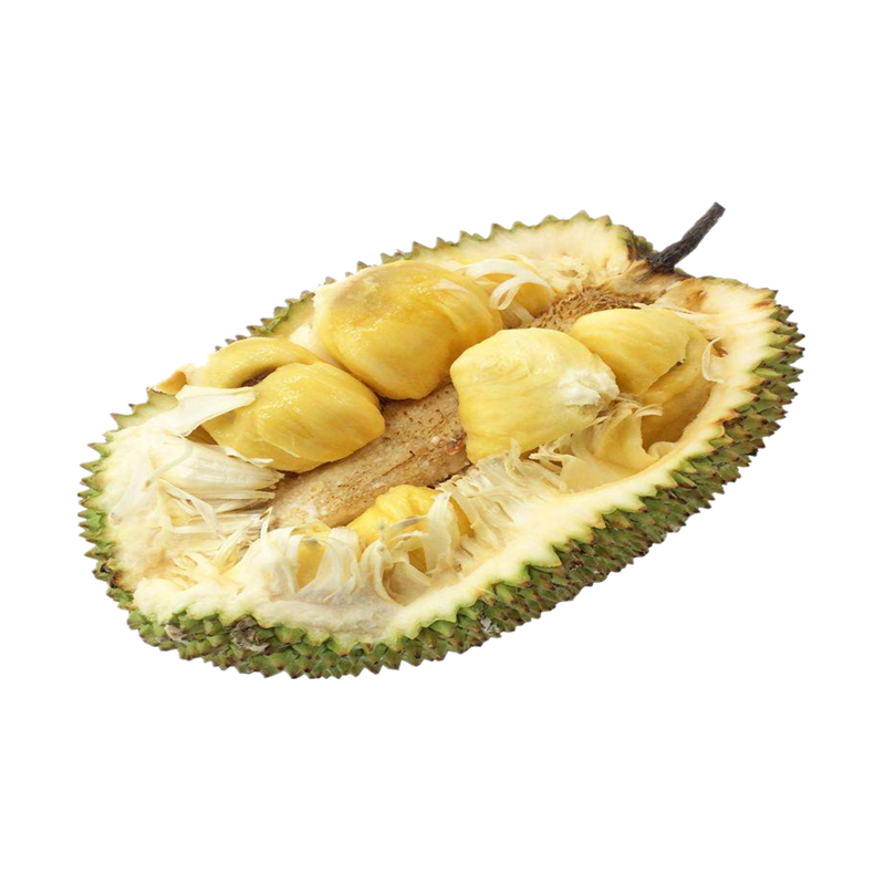 榴莲蜜苗新品种菠萝蜜苗南方水果嫁接苗四季水果盆栽果树苗带土发