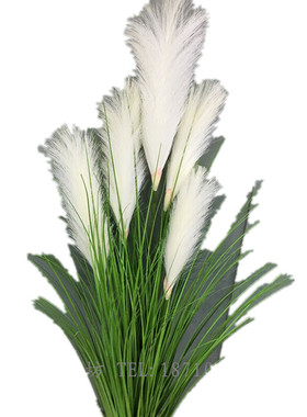 芦苇摆件插干花装饰品狗尾巴草