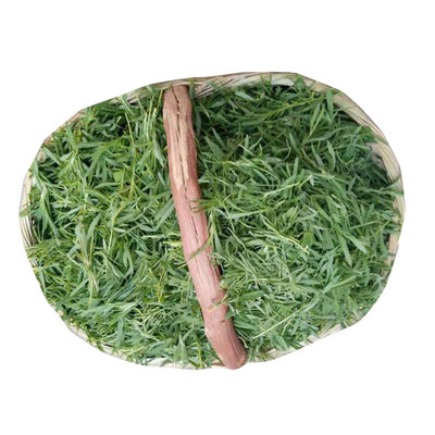新鲜蔬菜野生现摘山东省儿时野菜