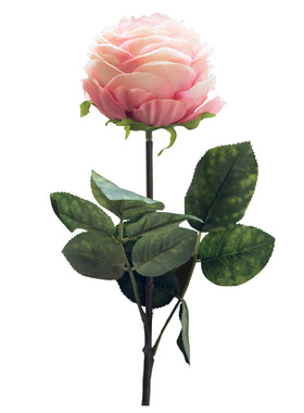 欧式客厅干花花艺