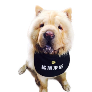 定制名字三角巾大型犬松狮宠物可爱围嘴萨摩耶狗狗防水口水巾棉麻