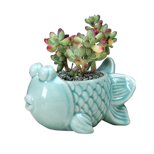 多肉花盆器创意个性北欧风大中小号口径植物拇指花盆陶瓷特价清仓