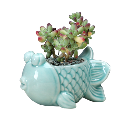 陶瓷花盆北欧创意卡通