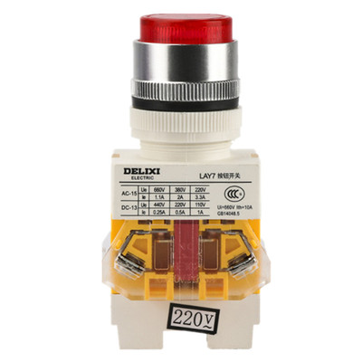 德力西带灯按钮开关自复位自锁式