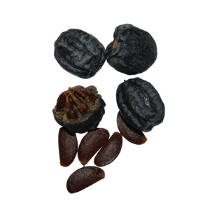 原生态黑枣特级新货君迁子药用500克野生大黑枣干货多核天然黑枣