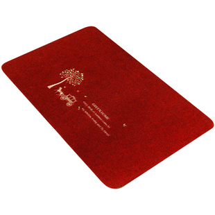 泰利蹭蹭垫进门吸水蹭土垫卧室门客厅厨房防滑绣花脚垫卫浴门地垫