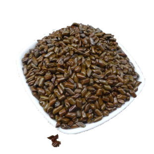 自种决明子生决明子枕头种子 草决明非决明子茶 熟决明炒制决明子