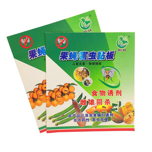 户外双面果蝇贴针蜂粘椰林农用粘虫板瓜实蝇粘胶板诱粘板信息素
