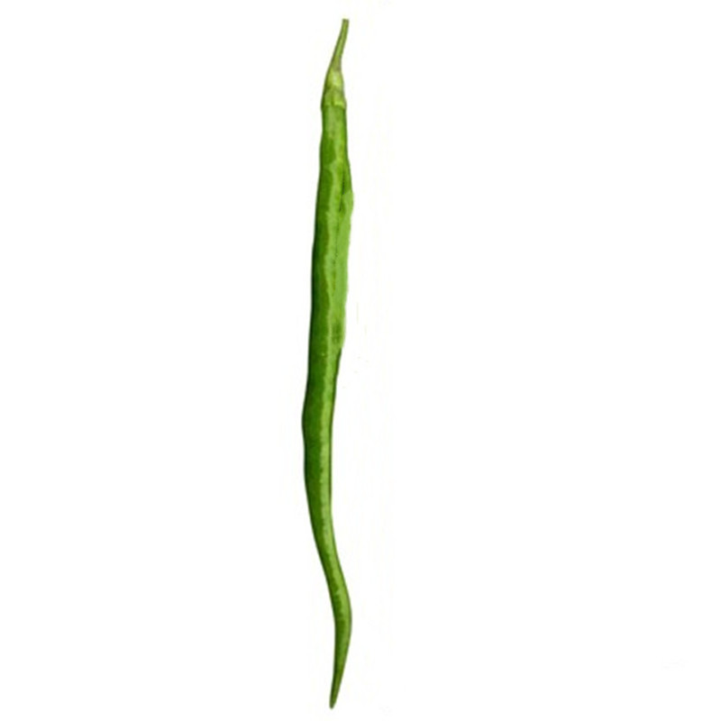 蔬菜种子辣椒树种子番茄树茄子树西瓜树观光庭院盆栽播种