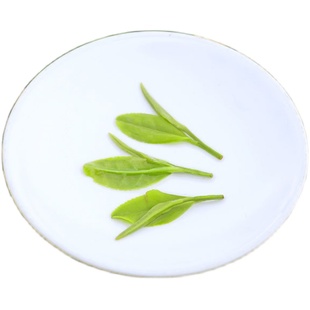 2025新茶龙井茶浓香型雨前特级高山龙井茶叶共250g绿茶春茶