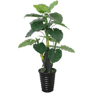 滴水观音客厅仿真绿植高端轻奢室内花假树摆设造景大型塑料盆景生