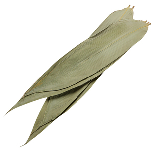 100页 天然包粽子的叶子粽叶大粽子叶新鲜 大干野生新叶特大粽叶