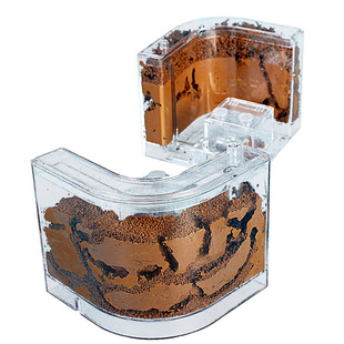 生态蚂蚁工坊别墅沙堡土巢宠物活体城堡蚁巢亚克力窝 沙土巢不死