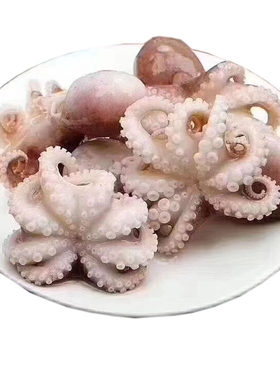 东山岛海鲜鲜活小鱿鱼八爪鱼深海