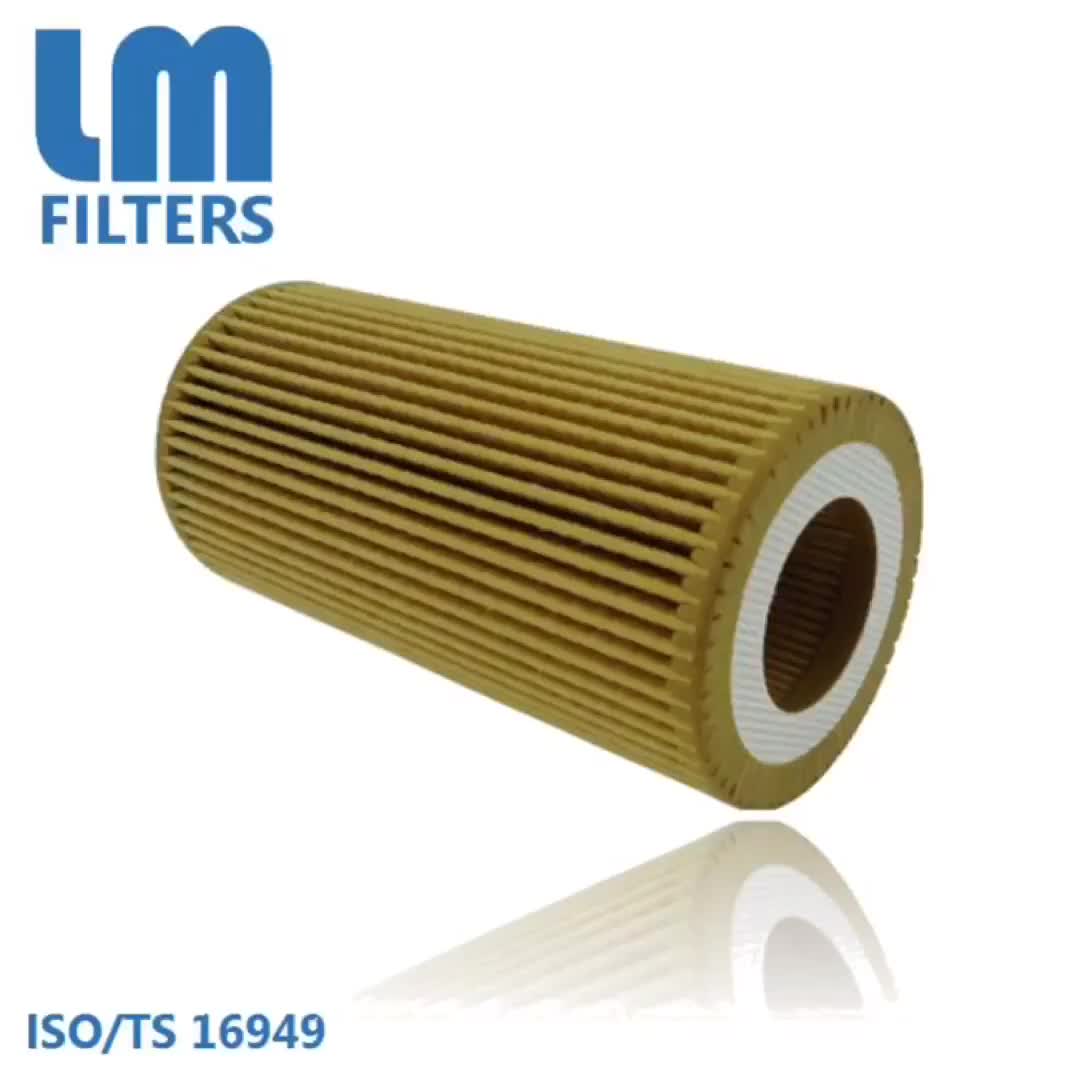 06D115466,06D115562 Oil Filter Cross Reference
