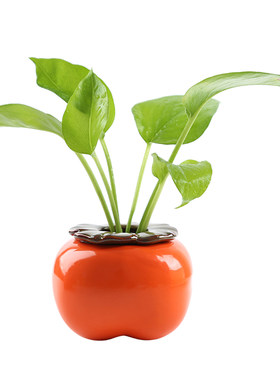 如意花瓶水养植物花盆容器装饰