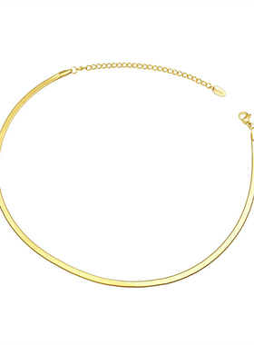 高定保色欧美新款扁女钛钢蛇骨链