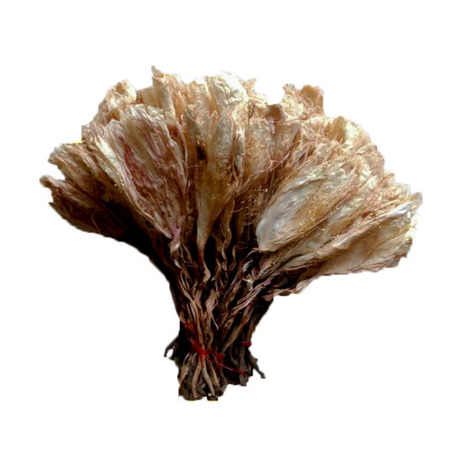 2026现货昙花干花朵琼花干天然可食用非霸王花煲汤泡水