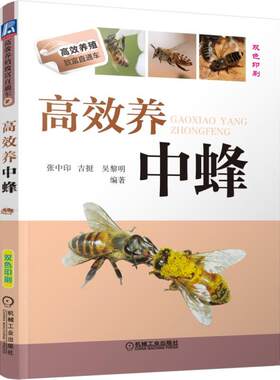 正版养蜂书籍大全高效技术