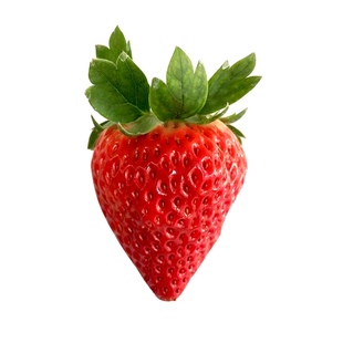 现货新鲜丹东99草莓丹东久久草莓东港秸秆草莓红颜奶油九九草莓