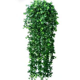 仿真招财树叶子墙壁挂吊篮塑料假花藤条装饰绿植藤蔓摆设植物吊兰