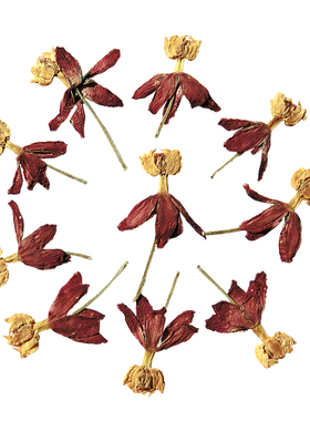 diy满天星压花标本手工材料干花