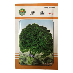摩西香芹种籽法香香草种子意大利欧芹种子洋香菜芹菜芫荽四季盆栽
