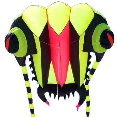 新奇特三叶虫潍坊风筝