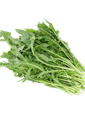 新鲜芝麻菜火箭菜沙拉菜蔬菜
