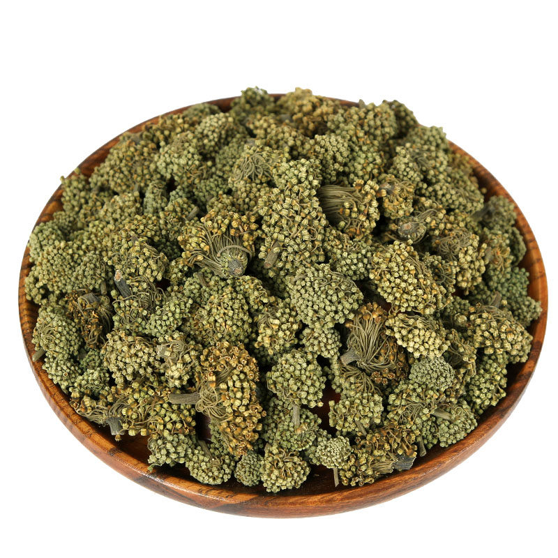 三七花四年生新三七花