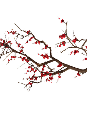 干树枝落地吊顶墙面花干树枝