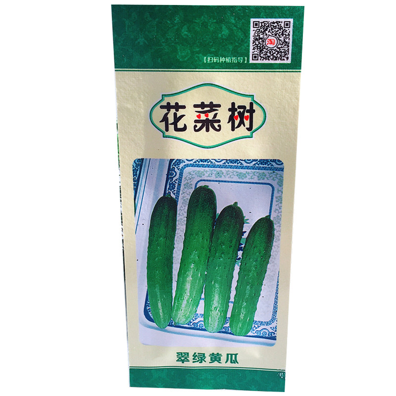 春播蔬菜种子水果小黄瓜老黄瓜番茄果蔬苗 阳台盆栽农家 蔬菜种子