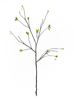 绿叶装饰假植物艺术造型小树枝