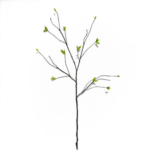 仿真小树枝装饰假植物柳枝绿叶墙壁艺术绿植墙面室内造型枯藤枝条
