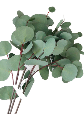ins手感尤加利枝条花瓶仿真植物