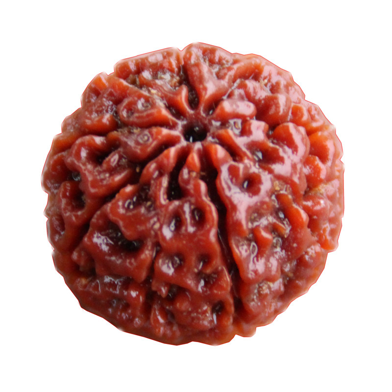 满肉原籽散珠男士大金刚菩提子