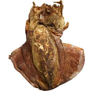 温州洞头特产墨鱼干回味甘甜有嚼劲上等品渔船直晒500g