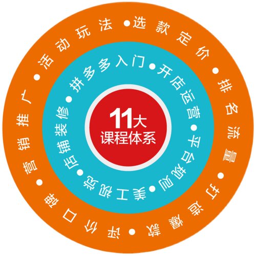 拼多多开店运营推广一本通 营业额倍增的运营秘笈 自学电商开网店运营书籍店铺搜索装修推广互联网电商运营教程电子商务