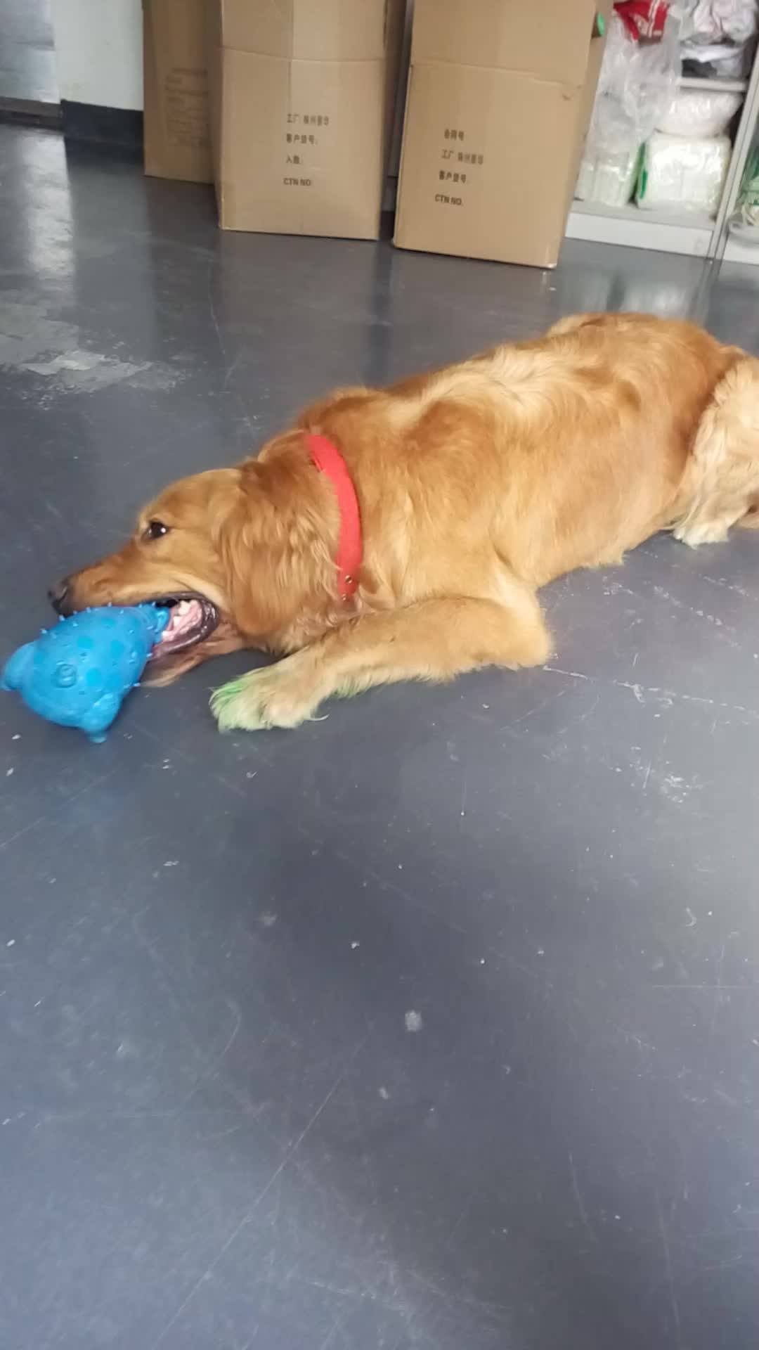 Top Selling Duck Type Agility Dog Training Latex Rubber Chewy Squeaky