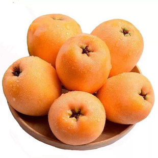 大果5斤 四川攀枝花米易枇杷果甜新鲜水果当季整箱大五星早钟包邮