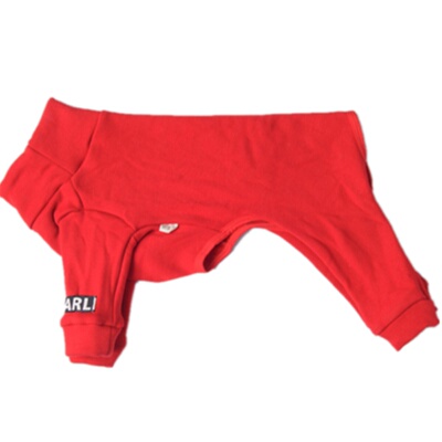 比熊贵宾长腿加绒保暖打底衫