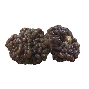 猴脑菇核桃菌干货500g猴脑菌玛瑙酒店食材海参菇黑木耳疙瘩玛卡菌