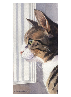 卡通猫咪客厅卧室房间无框画