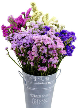 勿忘我干花diy客厅拍摄道具摆设